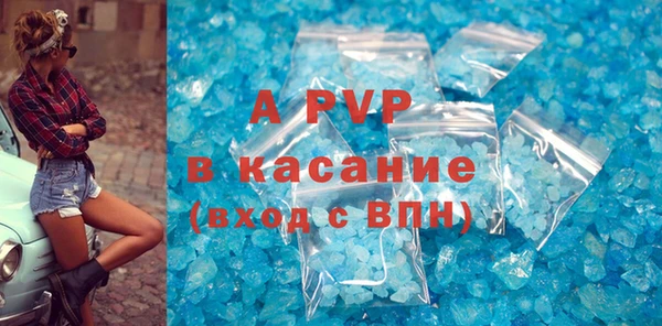 СК Надым