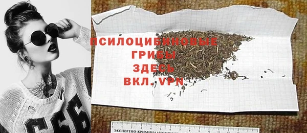 гидра Нея