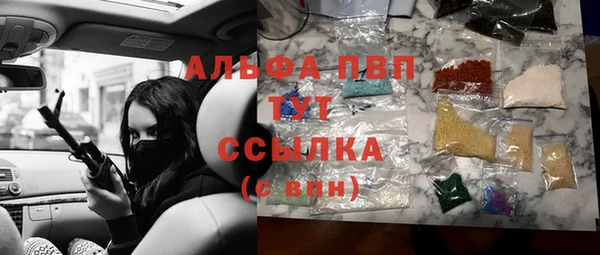 СК Надым
