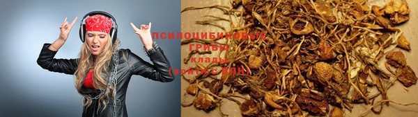 молекула духа Нефтегорск